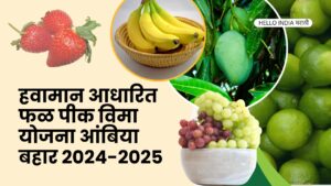 Restructured Weather Based Fruit Crop Insurance Scheme Ambia Bahar 2024-25,Farmers of the state should take maximum benefit of the scheme - Agriculture Minister Dhananjay Munde,