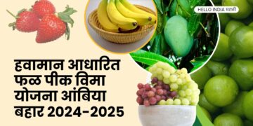 Restructured Weather Based Fruit Crop Insurance Scheme Ambia Bahar 2024-25,Farmers of the state should take maximum benefit of the scheme - Agriculture Minister Dhananjay Munde,