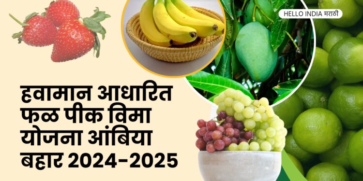 Restructured Weather Based Fruit Crop Insurance Scheme Ambia Bahar 2024-25,Farmers of the state should take maximum benefit of the scheme - Agriculture Minister Dhananjay Munde,
